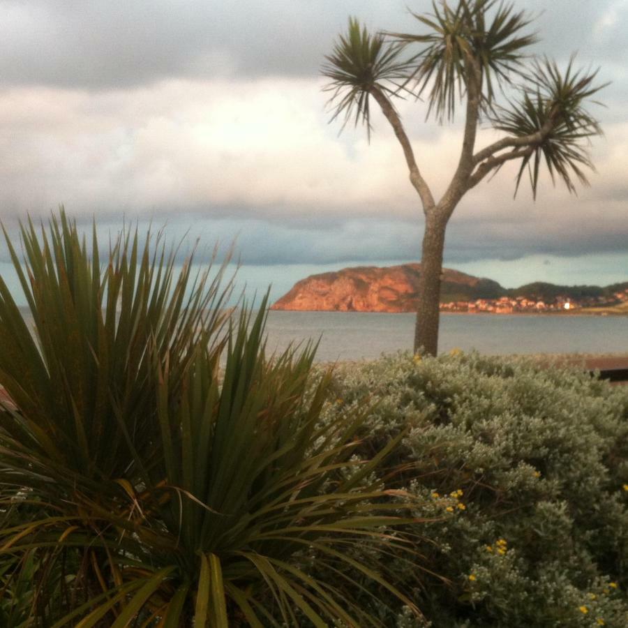 Cedar Lodge Llandudno Exteriér fotografie